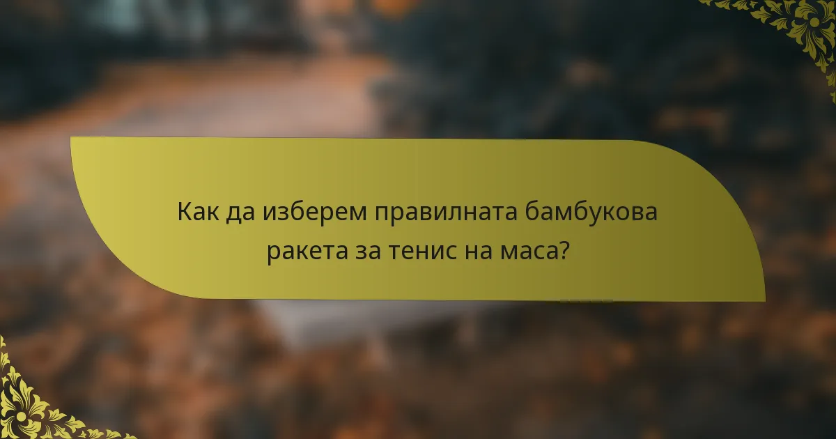 Как да изберем правилната бамбукова ракета за тенис на маса?